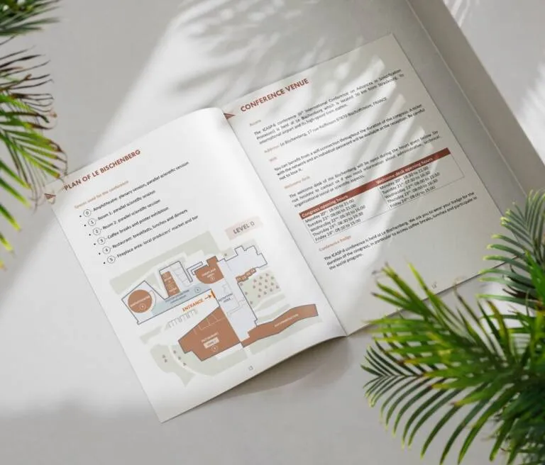 Pôle Communication - Communication imprimée brochure icasp6