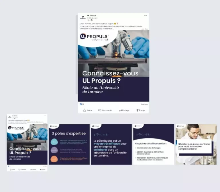 Pôle Communication - Communication digitale caroussel linkedin alumni propuls