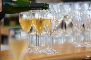 Plusieurs coupes de champagnes alignées