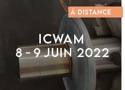 vignette 2022 icwam
