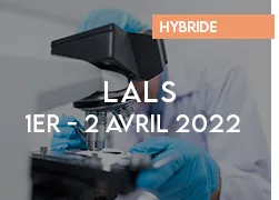 vignette 2022 lals