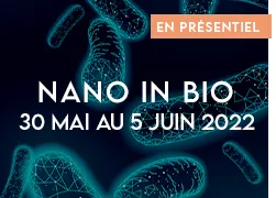 vignette 2022 nano in bio