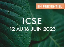 vignette 2023 icse