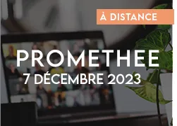 vignette 2023 webinaire promethee 1 7 decembre
