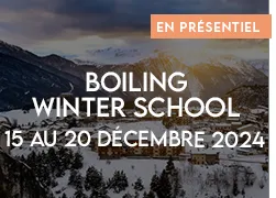 vignette 2024 boiling winter school