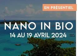 vignette 2024 nano in bio