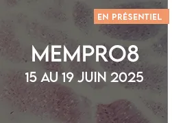 vignette 2025 mempro8