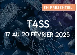 vignette 2025 t4ss