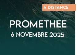 vignette 2025 webinaire promethee 1