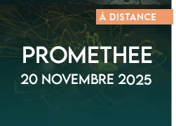 vignette 2025 webinaire promethee 2