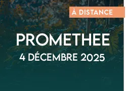 vignette 2025 webinaire promethee 3