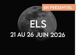 vignette 2026 els lunear