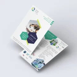 SFGP2019 - Flyer