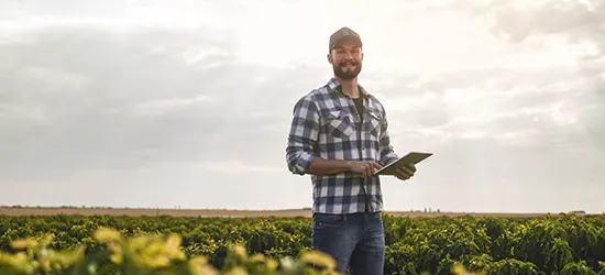 etude recyclage phytomaagement responsive