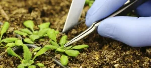 etudes environnement pollution des sols1 blocs responsive