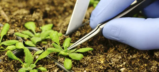 etudes environnement pollution des sols1 blocs responsive